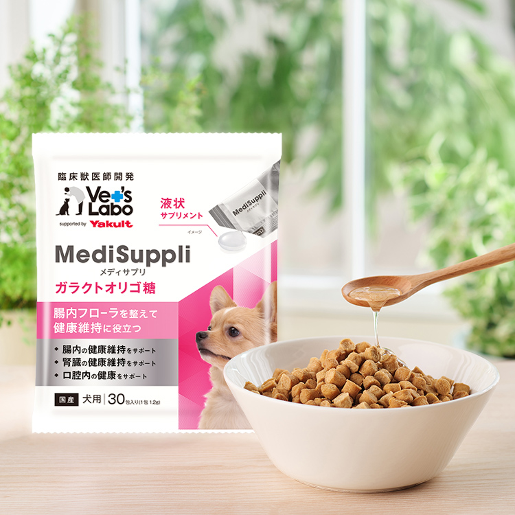定期便】 犬用MediSuppli ガラクトオリゴ糖 30包入り│乳酸菌