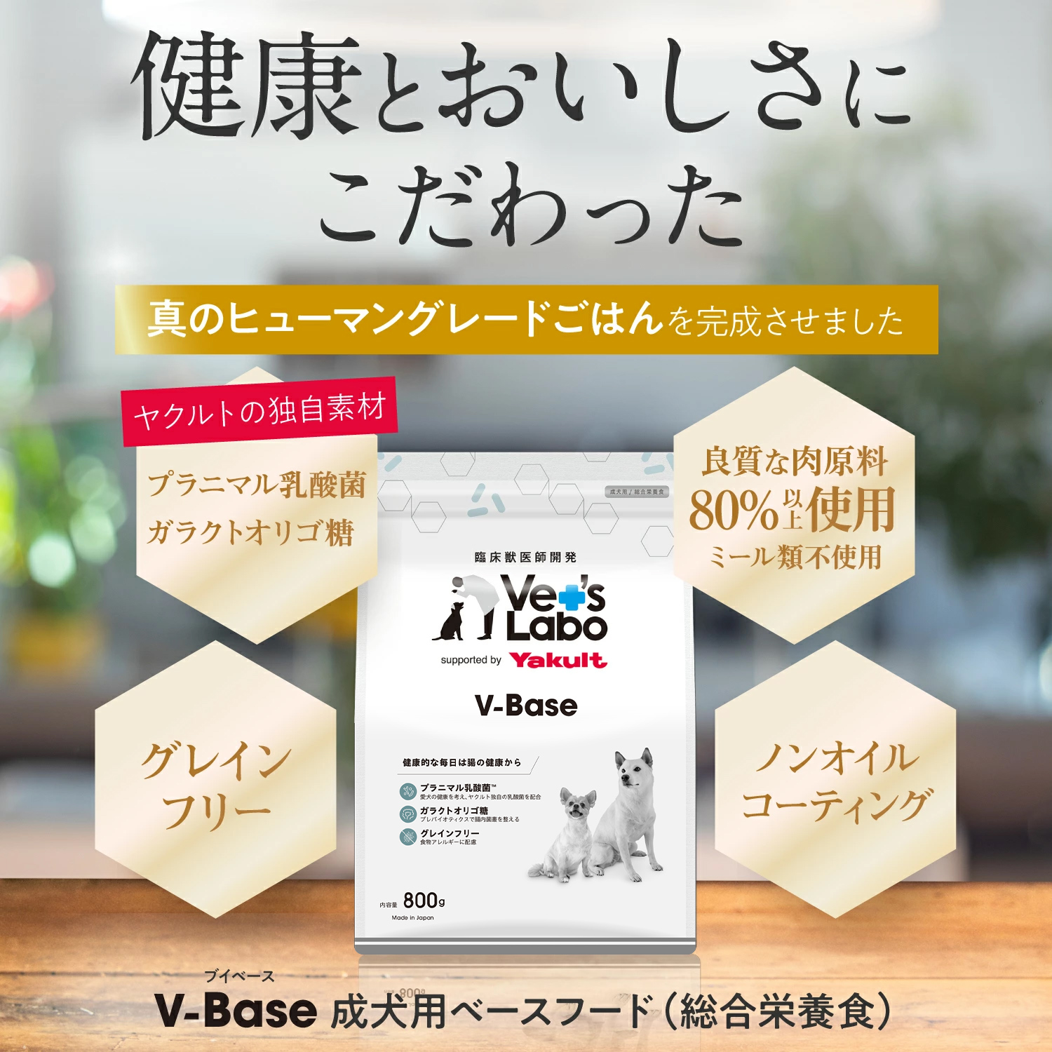 【通常商品：2袋】犬用V-Base