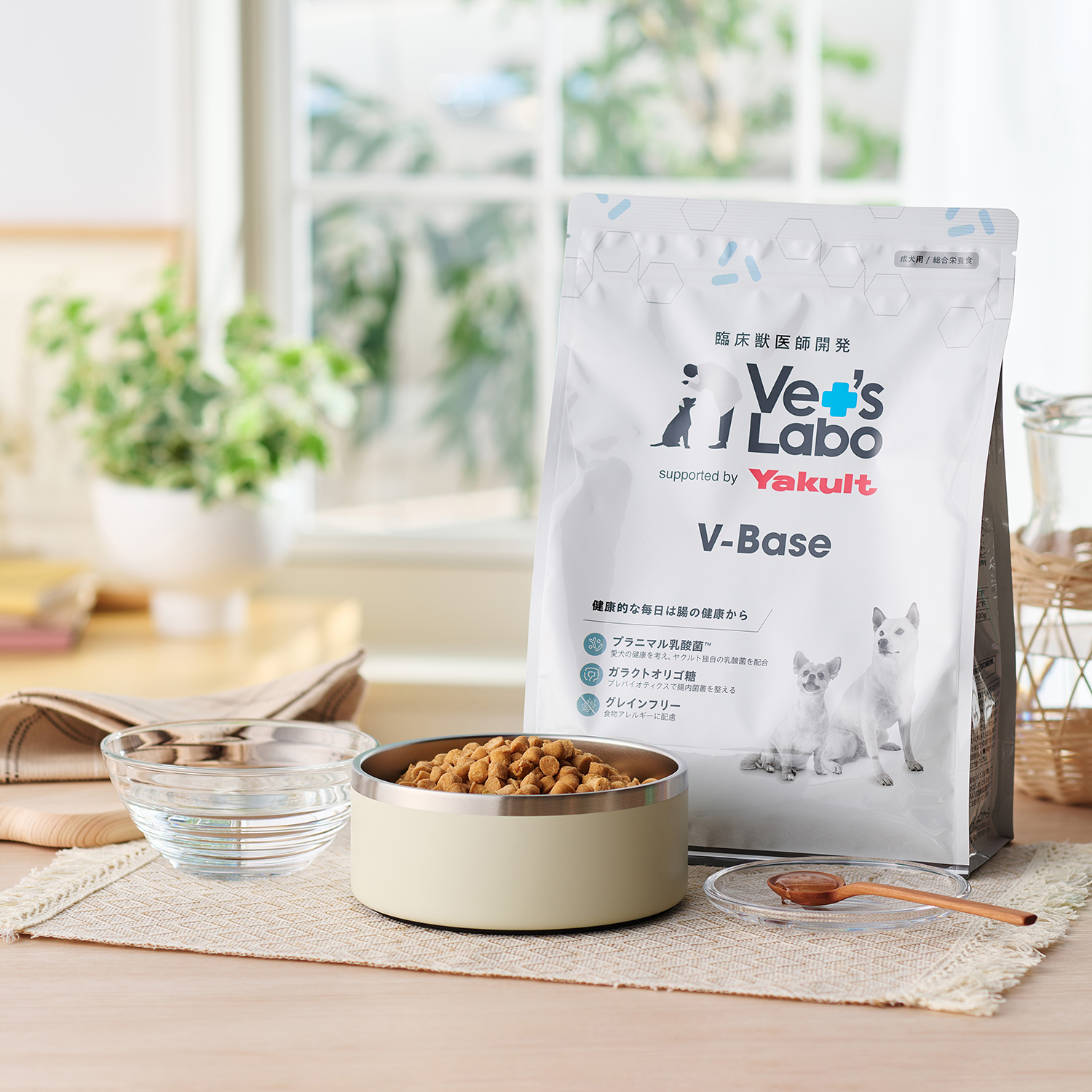【通常商品】限定価格：犬用 V-Base