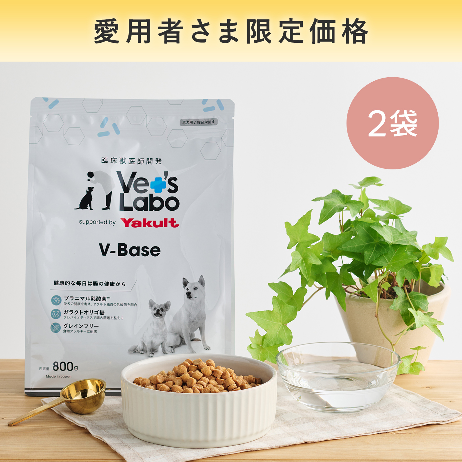 【定期便：2袋】限定価格：犬用 V-Base