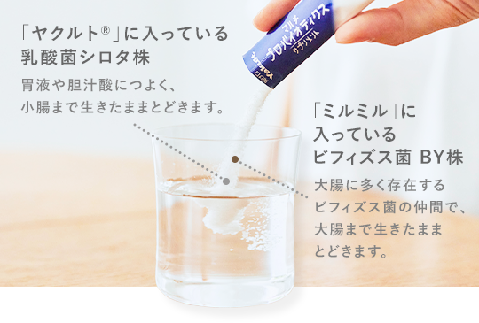 マルチプロバイオティクスサプリメント