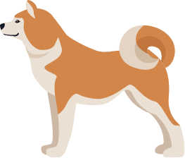 中型犬 ・ 大型犬