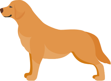 中型犬 ・ 大型犬