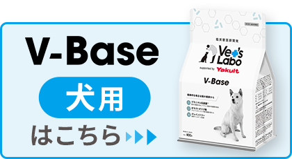 MediSuppli メディサプリ 猫用 はこちら>