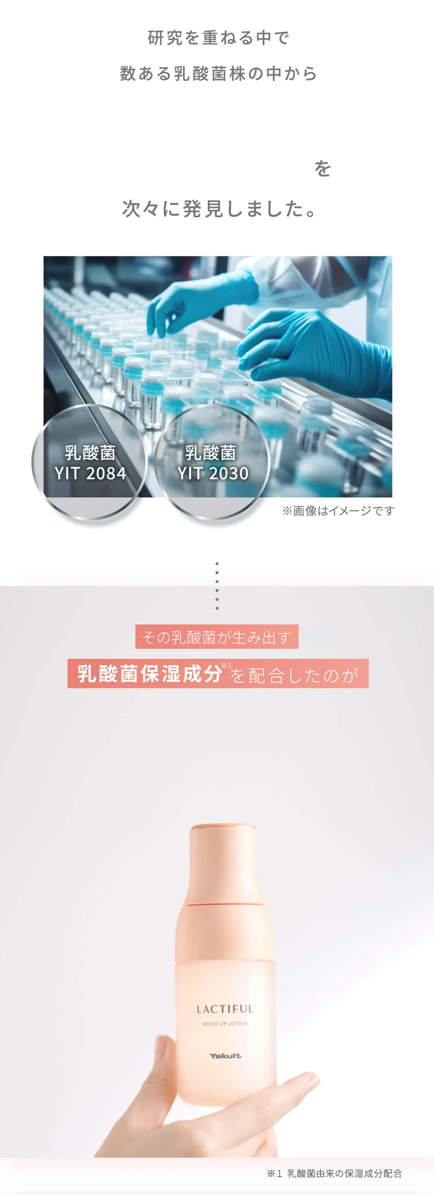 history_02.jpg__PID:f6c131fc-600b-47e2-bf2f-e02f669e3ff1