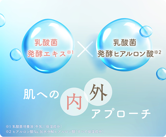 乳酸菌発酵エキス×乳酸菌発酵ヒアルロン酸 肌への内外アプローチ
