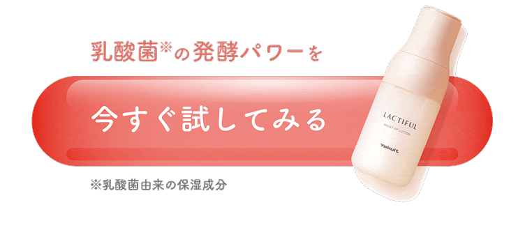 乳酸菌のパワーを今すぐ試してみる