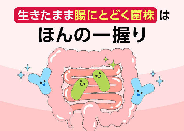 生きたまま腸にとどく菌株はほんの一握り