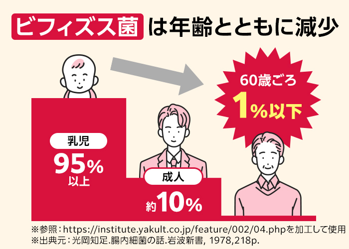 ビフィズス菌は年齢とともに減少
