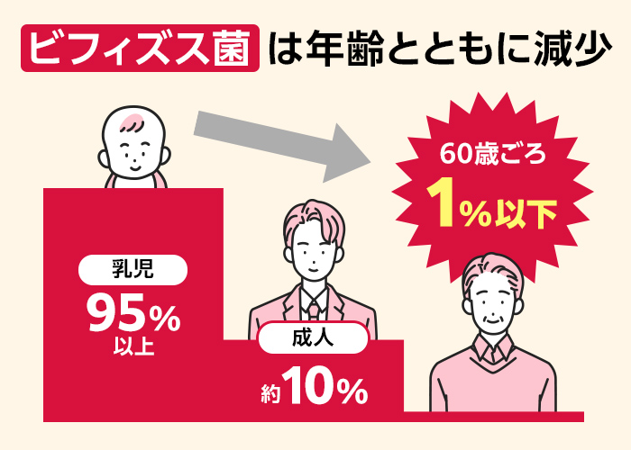 ビフィズス菌は年齢とともに減少