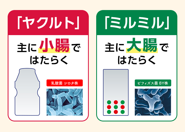 乳酸菌とビフィズス菌のはたらく場所が違うためそれぞれに販売