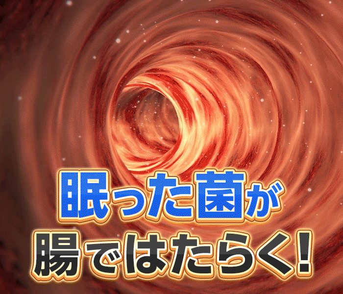 眠った菌が腸で働く！