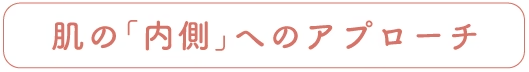 「内側」へのアプローチ