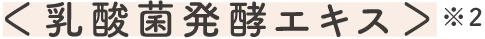 ＜乳酸菌発酵エキス＞※4