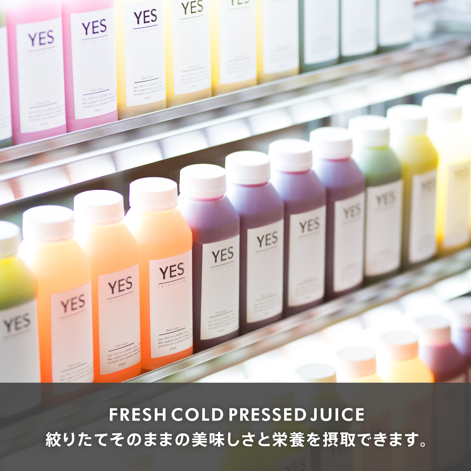 【ONLINE STORE 限定】HEALTHY 3 bottles SET -GREEN- (270ml*3本） カラトリー類のご要望（ストローなど）: 必要