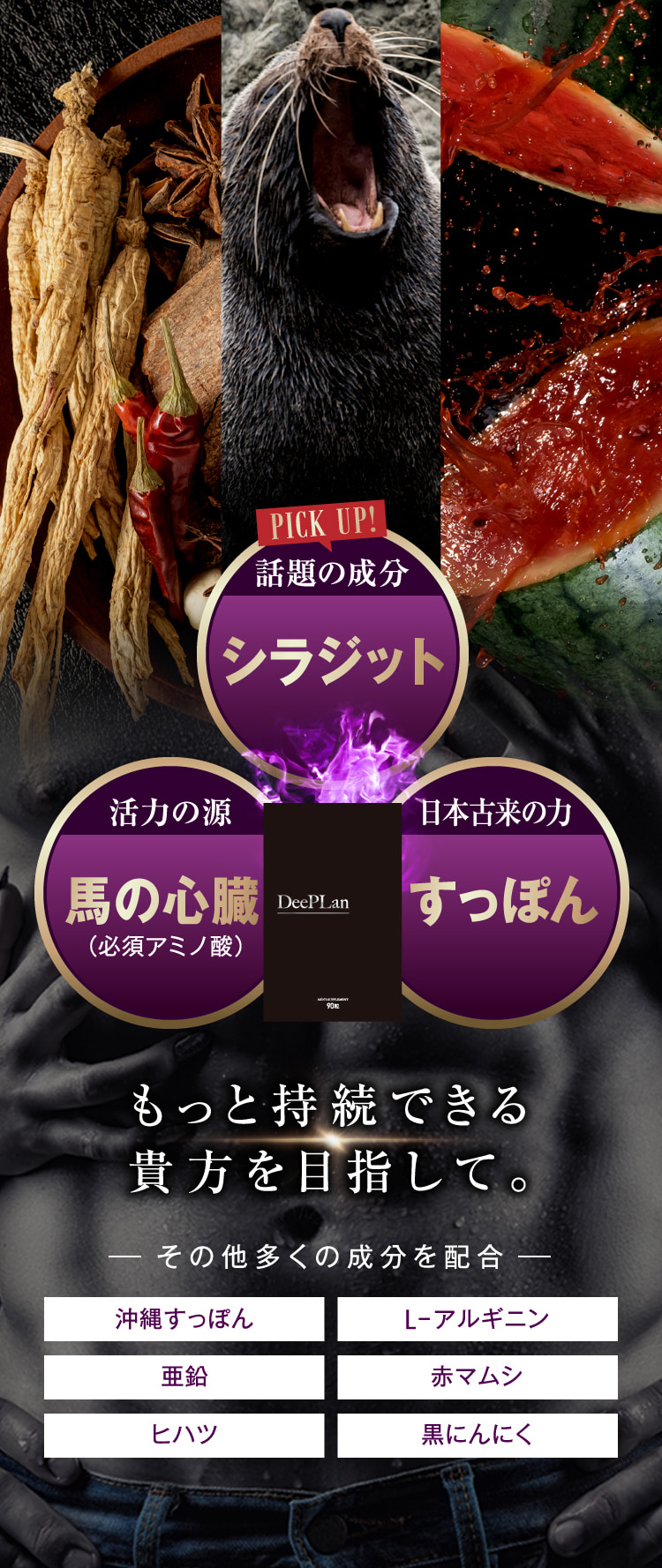 DeePLan もっと継続できる貴方を目指して。