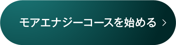 モアエナジーコースを始める