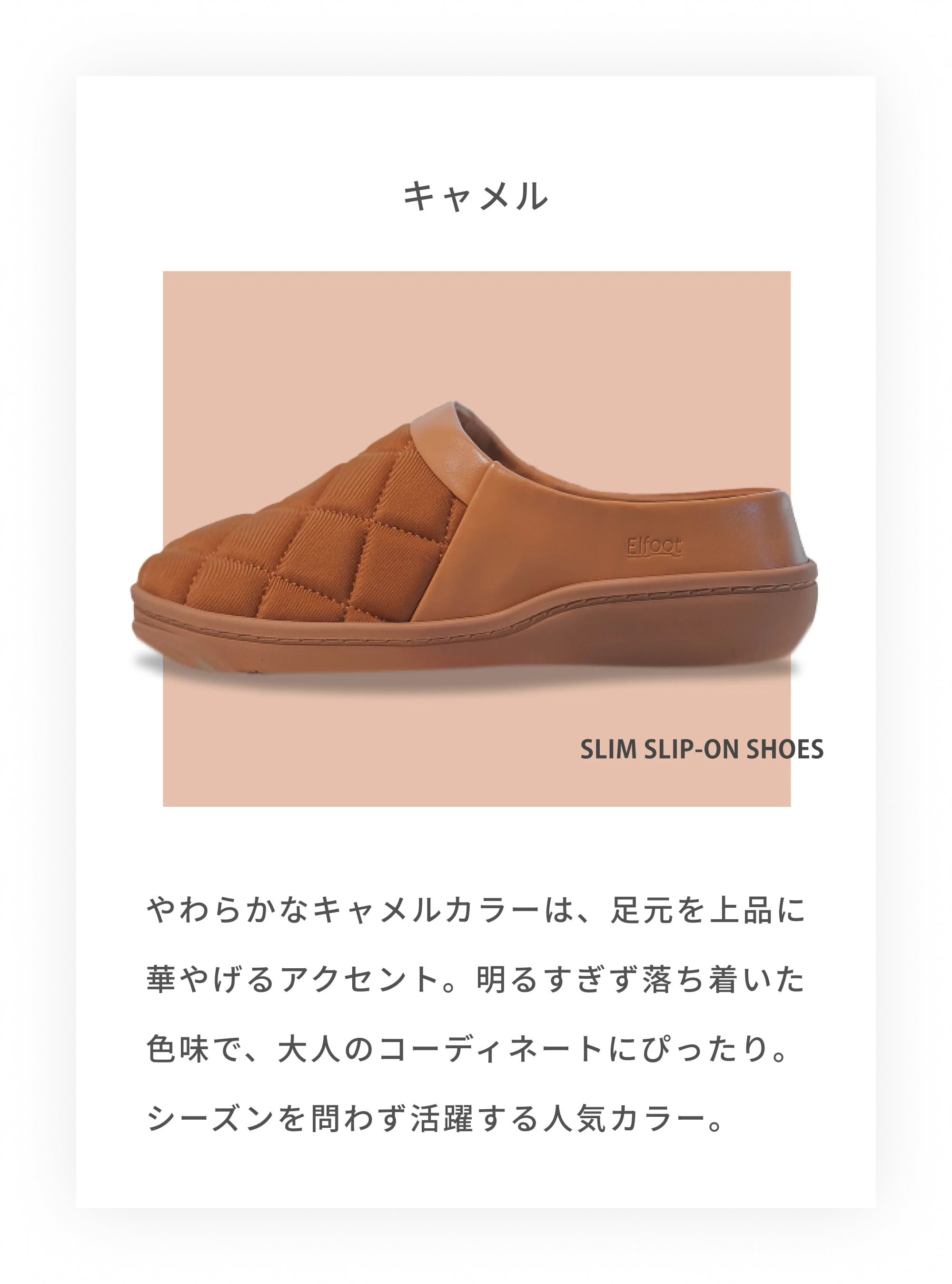 キャメル