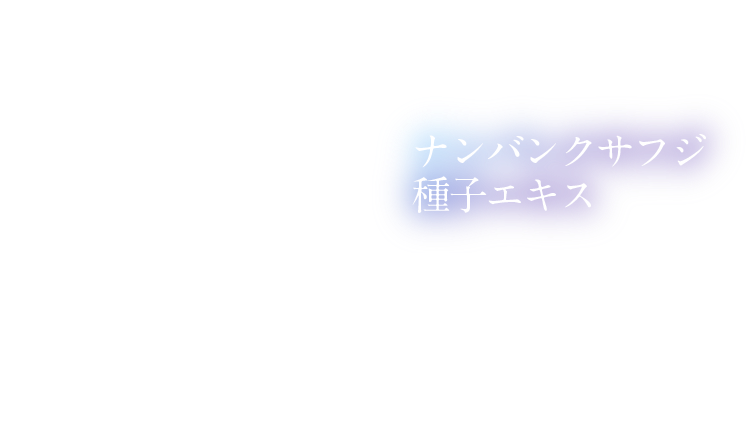 ナンバンクサフジ種子エキス