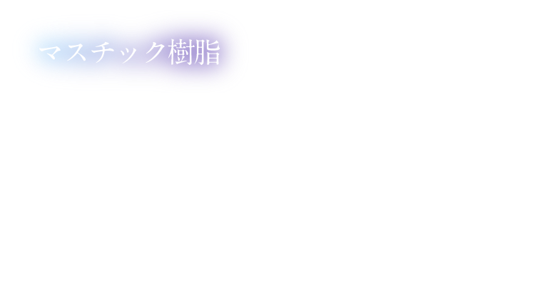 マスチック樹脂