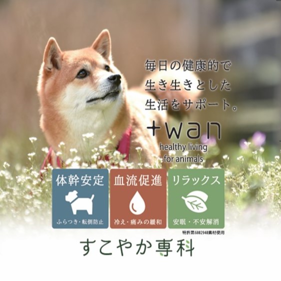 ペット用シュシュ