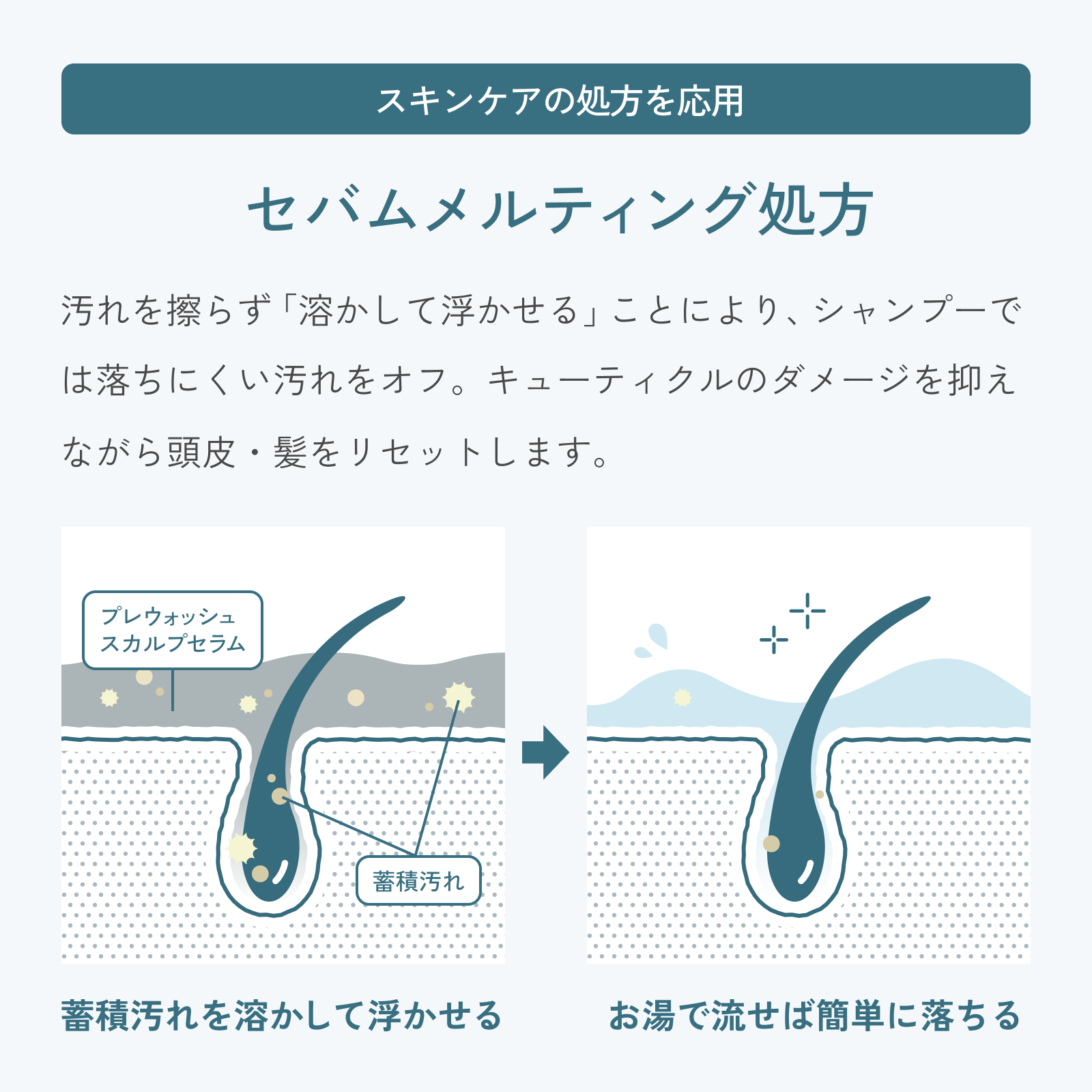 【定期】プレウォッシュスカルプセラム