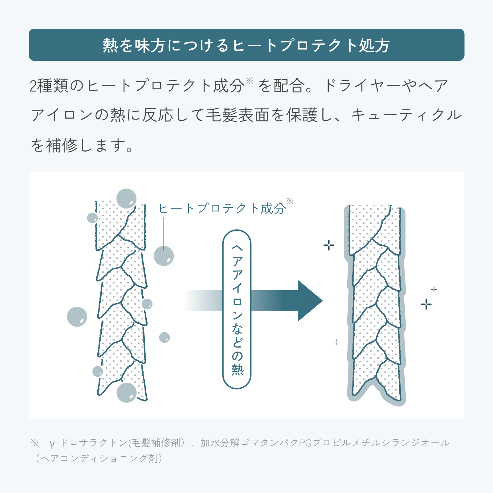 【定期】ラメラエッセンスヘアミルク