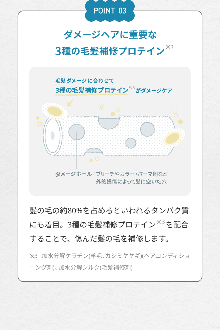 【POINT 03】ダメージヘアに重要な3種の毛髪補修プロテイン（※3）