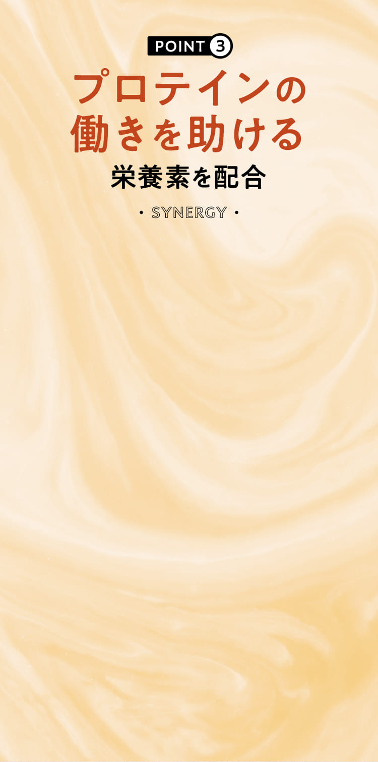 プロテインの
                      働きを助ける栄養素を配合