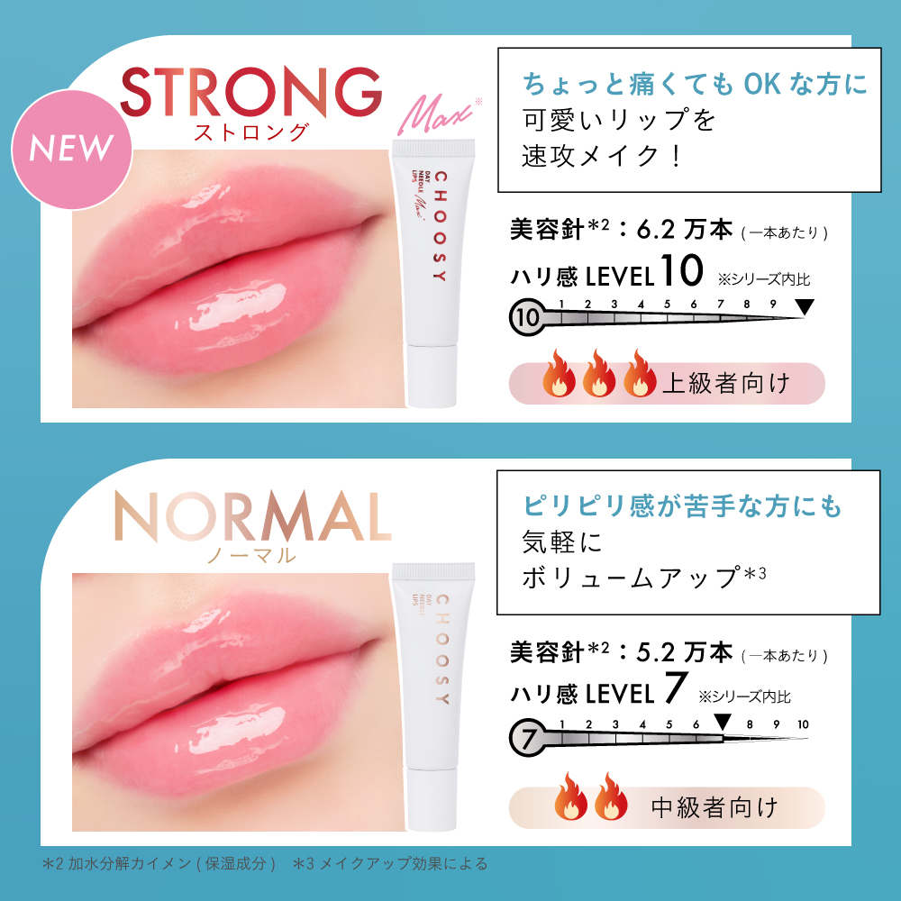 【チューシー/CHOOSY】デイニードルリップ（日中用）