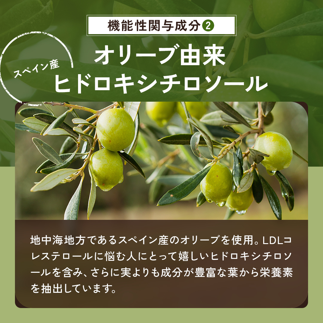 ザクロ＋オリーブ（パウチ）