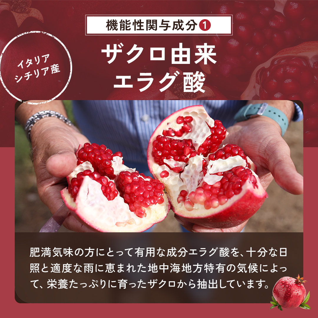 【定期】ザクロ＋オリーブ（パウチ）
