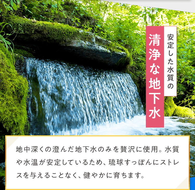 清浄な地下水