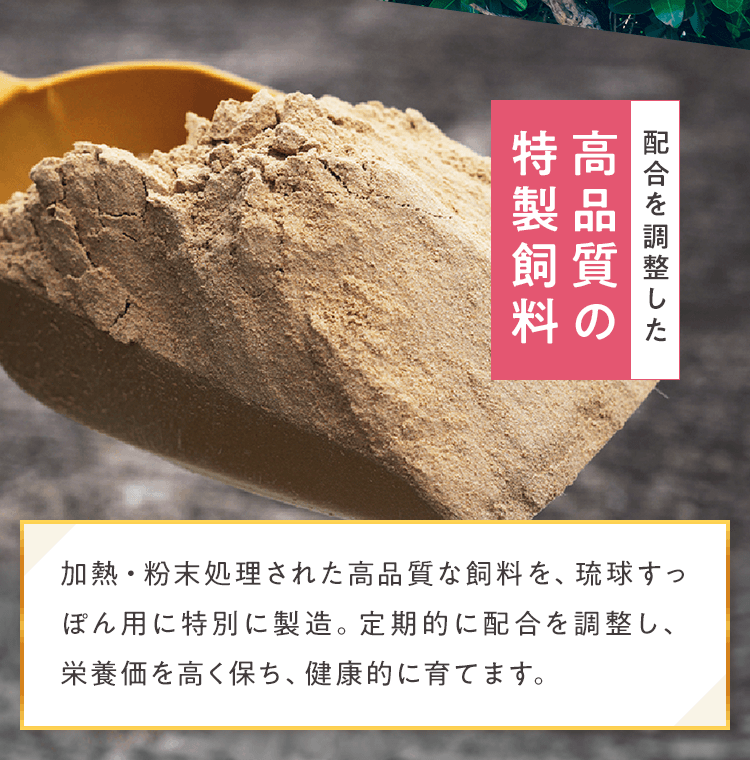 高品質の特製飼料