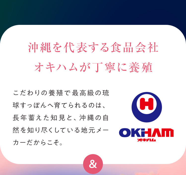 沖縄を代表する食品会社・オキハムが丁寧に養殖