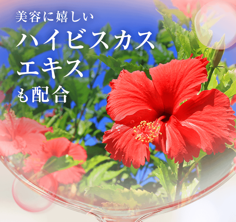 美容に嬉しいハイビスカスエキスも配合