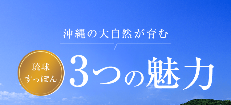 琉球すっぽん3つの魅力