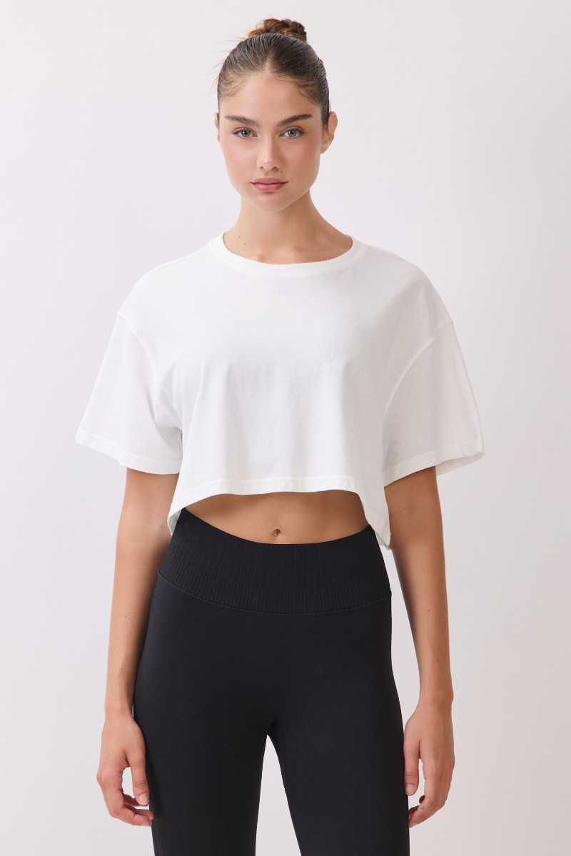TS113 BRUSHED CROP T-SHIRT IVORY サイズ: F