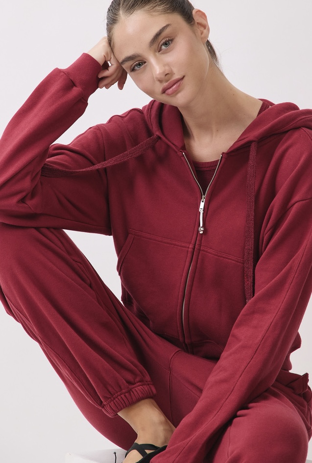 TZ153 ZIP-UP HOODIE BURGUNDY サイズ: F