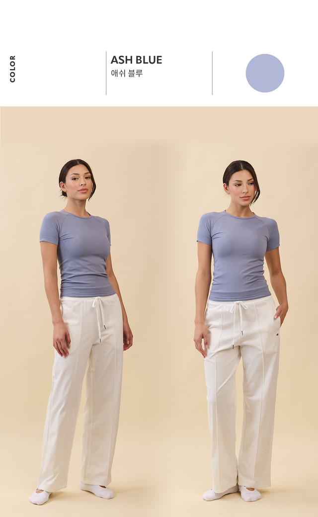 TS133 ALL-DAY SHORT TEE ASH BLUE SOLID サイズ: S/M