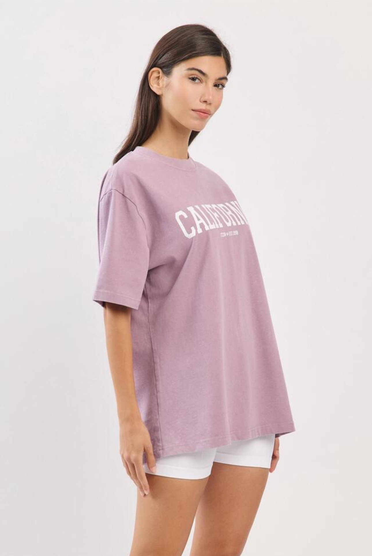 TS108 WASHED LOGO T-SHIRTS LAVENDER FADE サイズ: S/M