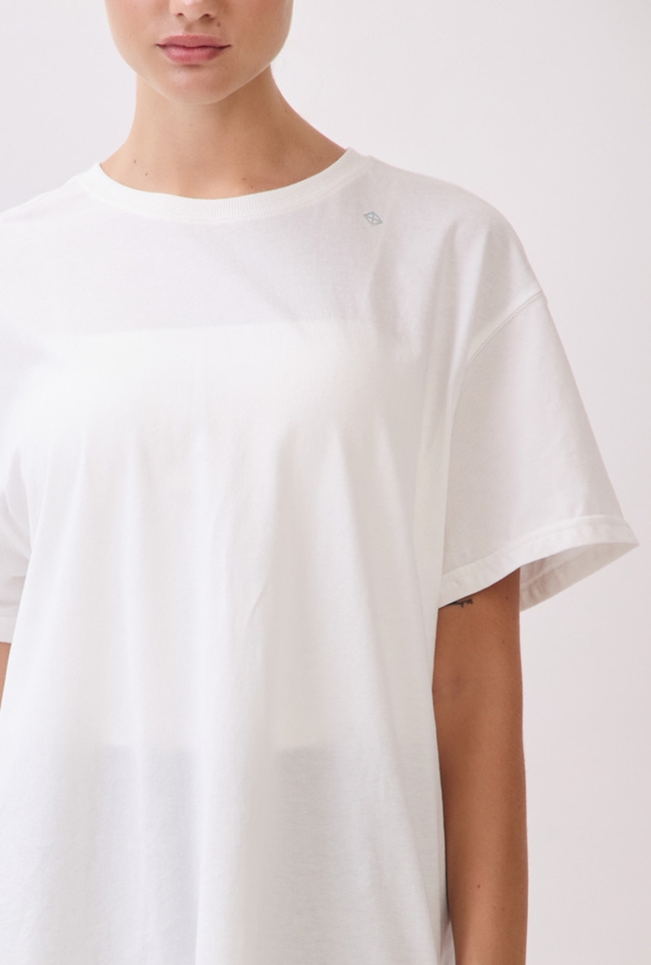 TS114 BRUSHED T-SHIRT IVORY サイズ: F