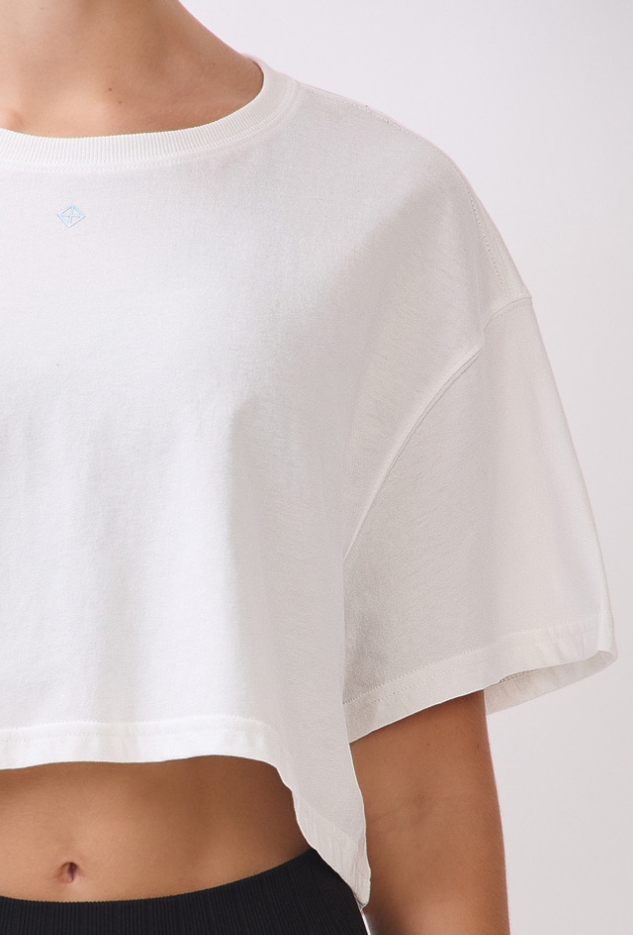 TS113 BRUSHED CROP T-SHIRT IVORY サイズ: F