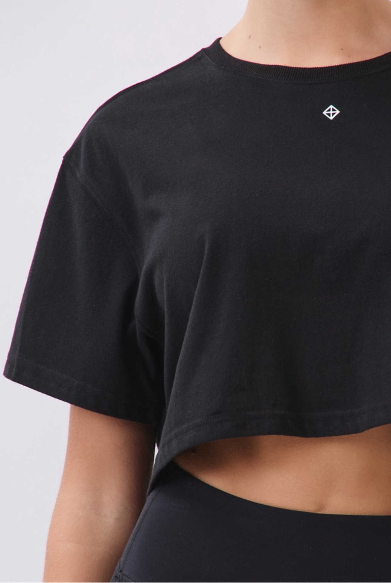 TS113 BRUSHED CROP T-SHIRT BLACK サイズ: F