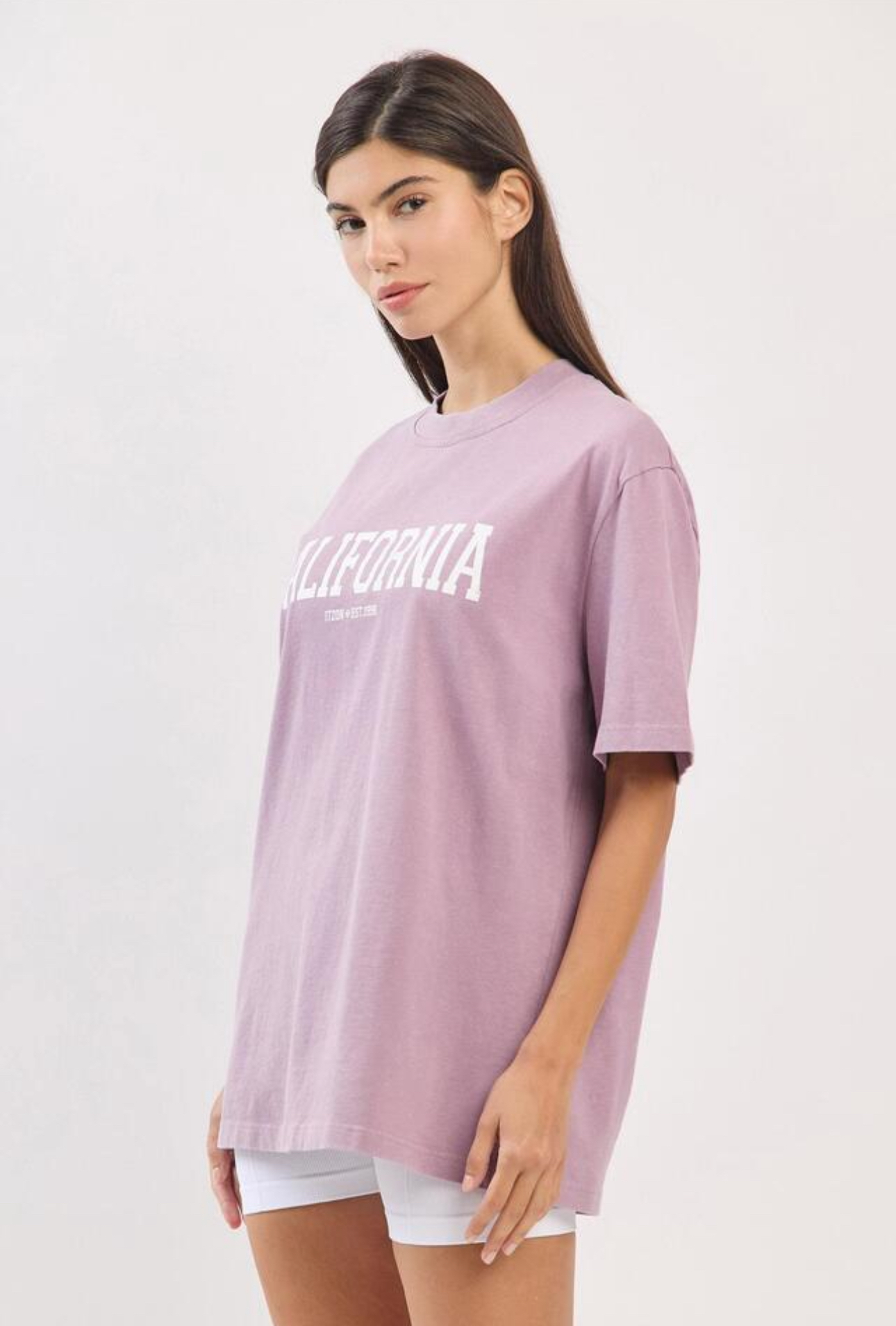 TS108 WASHED LOGO T-SHIRTS LAVENDER FADE サイズ: S/M