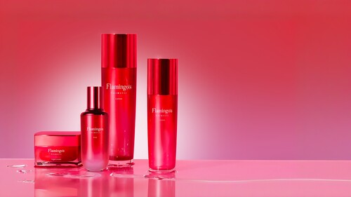 【57%OFF】Flamingo's プレミアムフルセット （29,800円）【100名様限定】