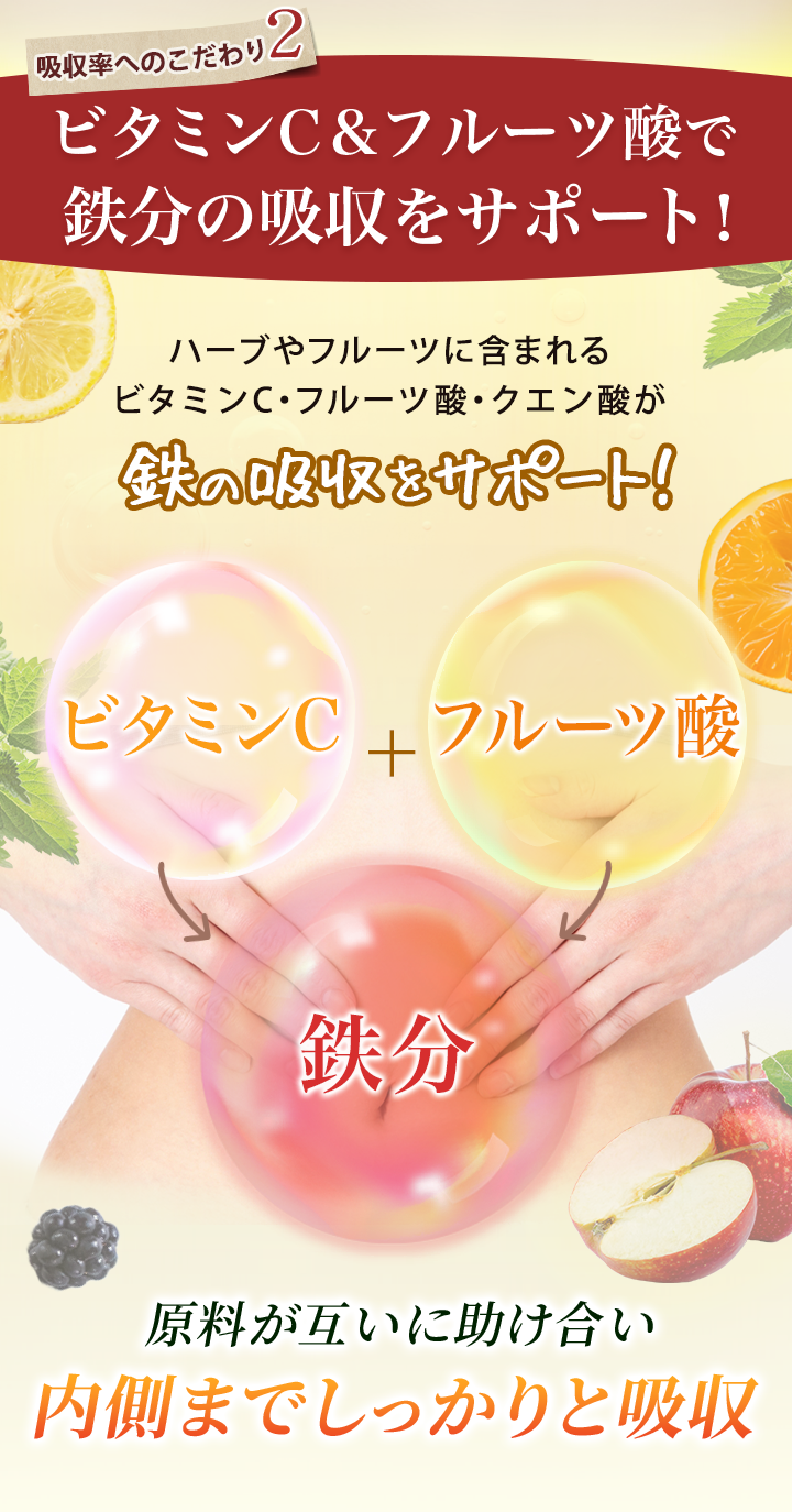 鉄分吸収サポート成分を配合