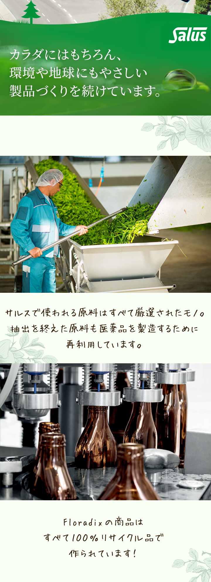 サルスは自然を守る活動をしています