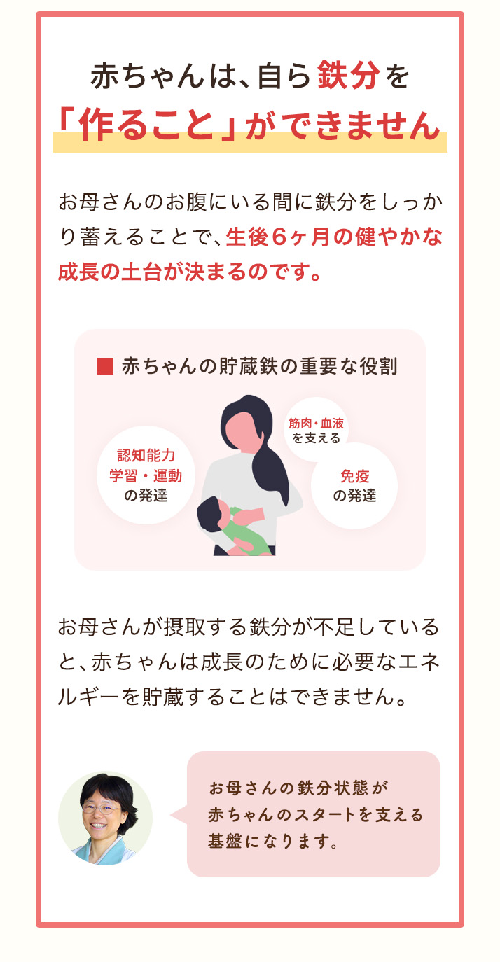 生後6ヶ月の成長は、妊娠中の鉄分摂取で決まります