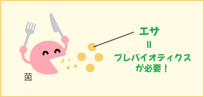 プレバイオティクスの説明